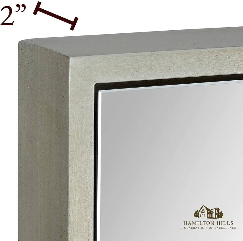 Silver Leaf Frame Wall Mirror - 18" x 48" Modern & Contemporary