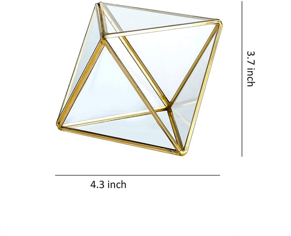 Glass Geometric Terrarium Container 4.5X5.2 inch and 4.3X3.7 inch Glass Terrarium