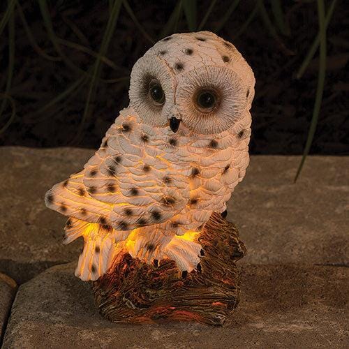 Owl Solar Powered LED Outdoor Decor Garden Light-Dawhud Direct-RoomDividersNow