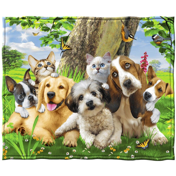 Puppy and Kitten Pals Super Soft Plush Fleece Throw Blanket by Howard Robinson-Dawhud Direct-RoomDividersNow