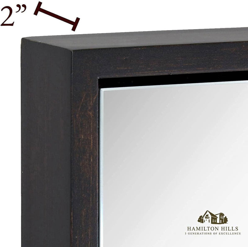 Contemporary Wenge Frame Wall Mirror: 18" x 48"