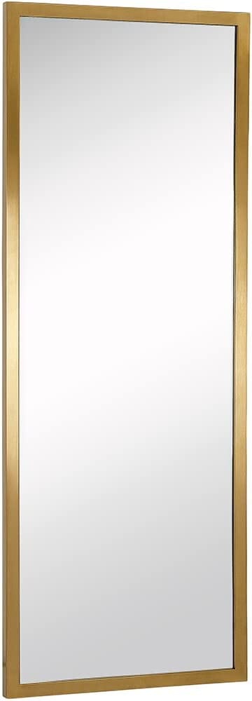 Full Length Wall Mirror with Brushed Finish