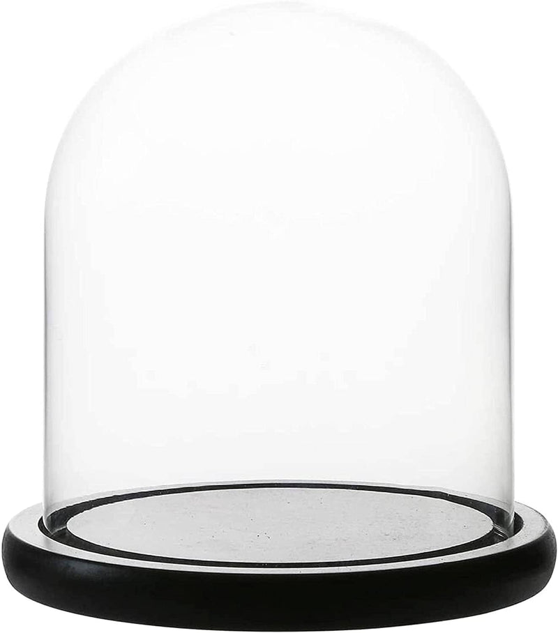 Decorative Clear Glass Dome | Tabletop Centerpiece | Cloche Bell Jar Display Case | Black