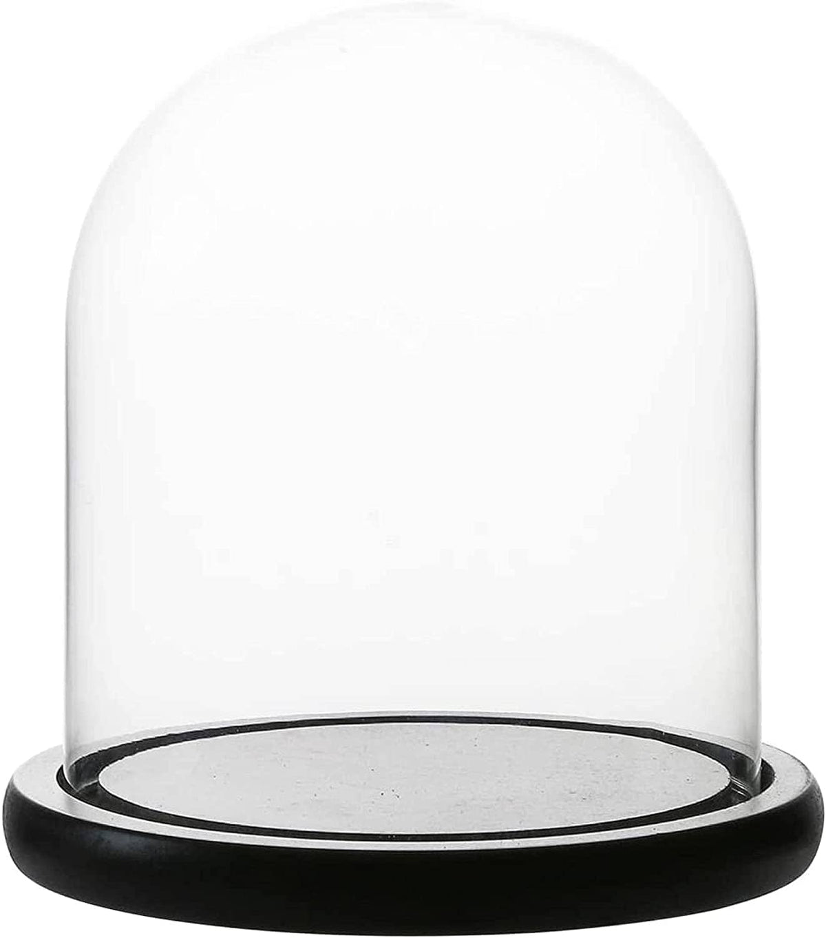 Decorative Clear Glass Dome/Tabletop Centerpiece Cloche Bell Jar Display Case with Black