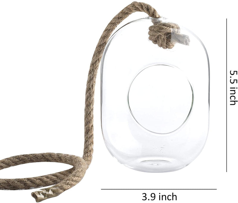 Set of 3 Large Glass Hanging Terrarium Container with 28" Rope for Succulent & Air