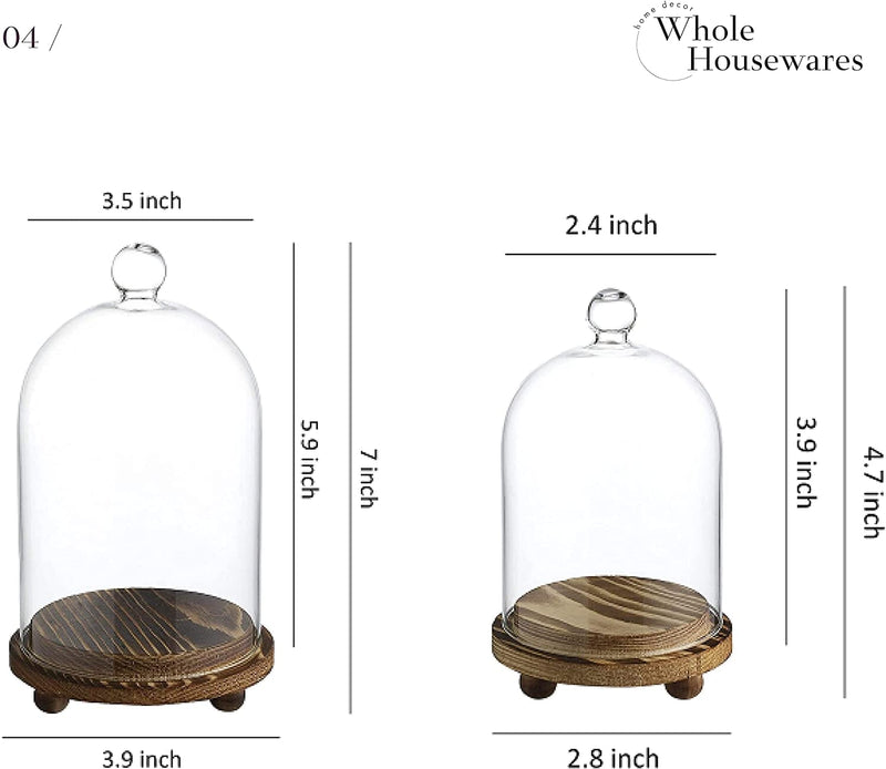 Mini Glass Display Dome Cloche with Wood Base, Set