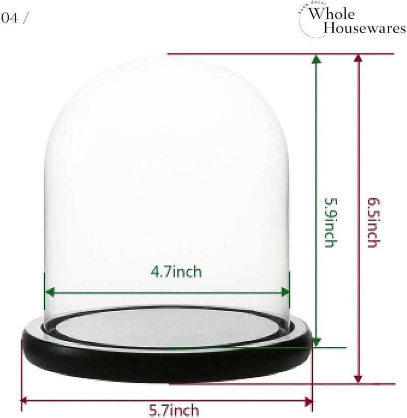 Decorative Clear Glass Dome | Tabletop Centerpiece | Cloche Bell Jar Display Case | Black