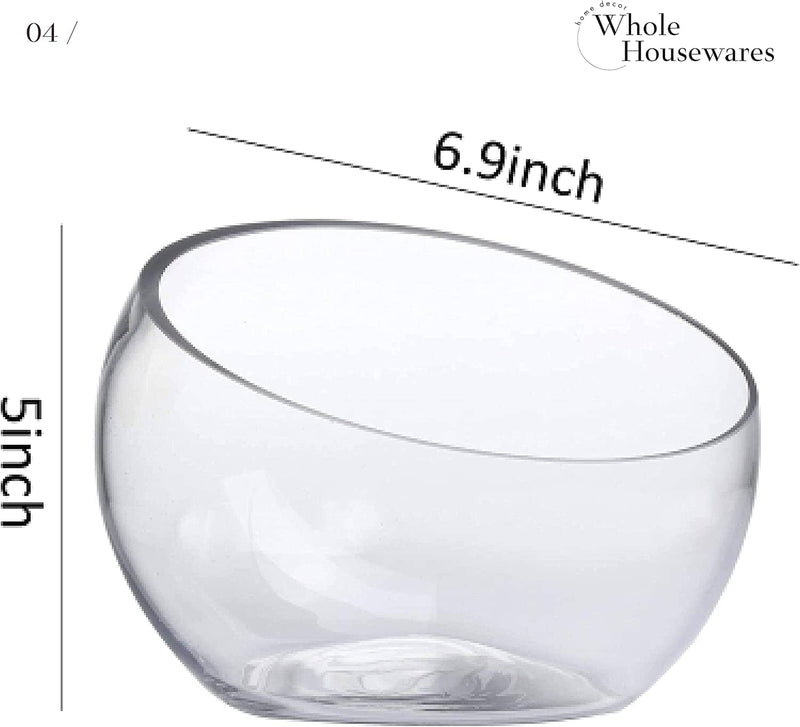 Glass Slant Bowl Glass Terrarium Set of 2 (Dia 6.3" X H 5.1"