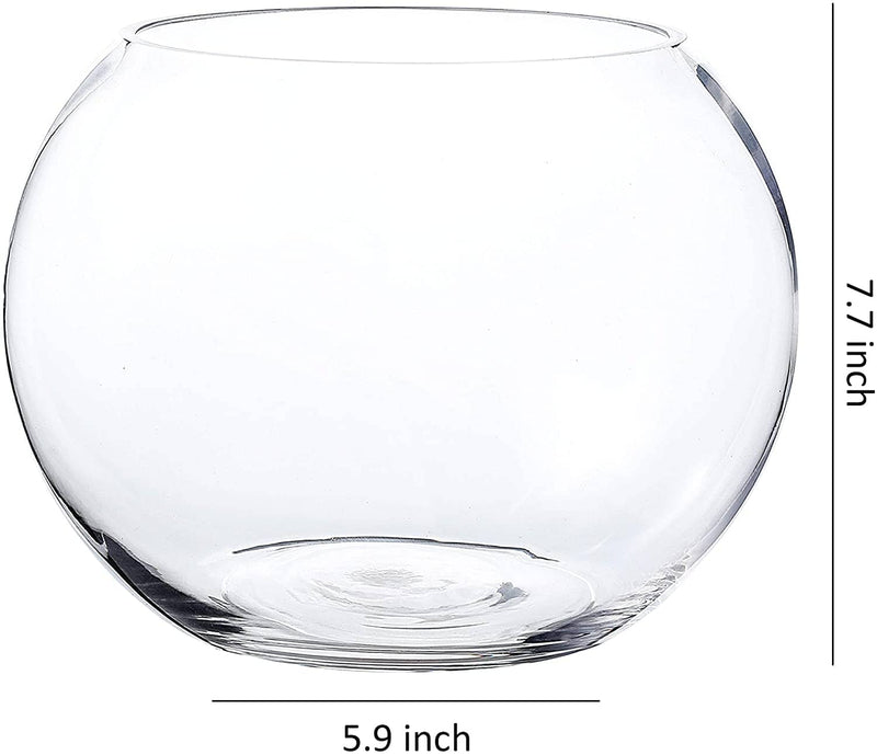 Glass Bubble Bowl, Fish Bowl, Globe Vase Center Piece, Round Flower Vase (8X5.65 Inch 1pc