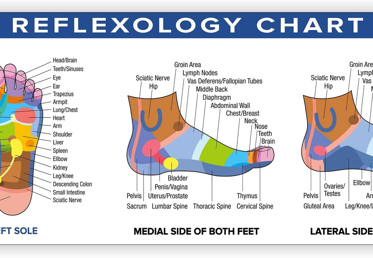 Colorful Reflexology Chart Poster