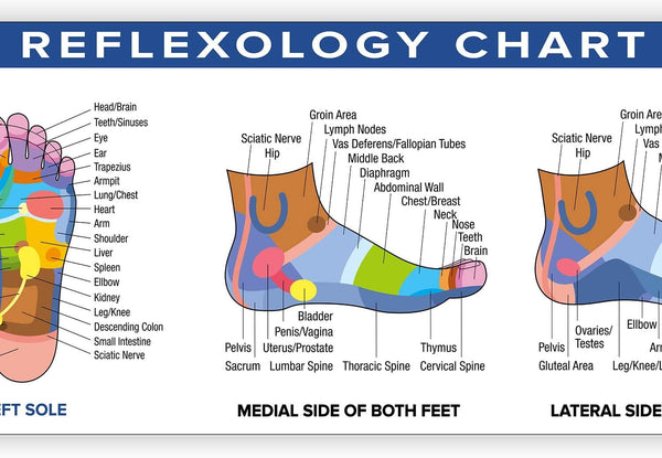 Colorful Reflexology Chart Poster