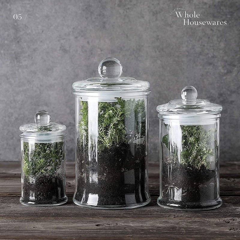 Set of 3 Round Clear Apothecary Glass Canister Jars with